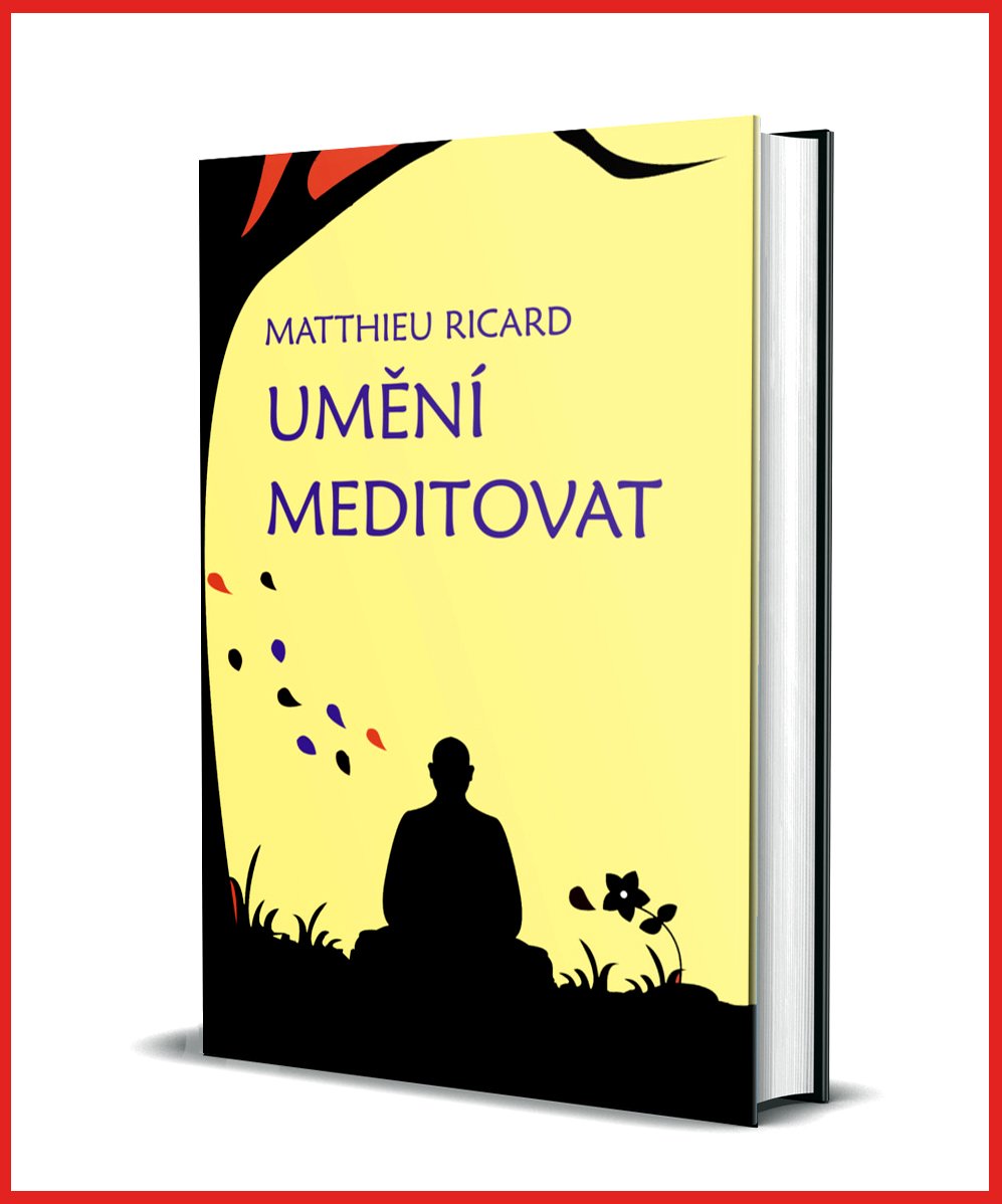 Umění meditovat